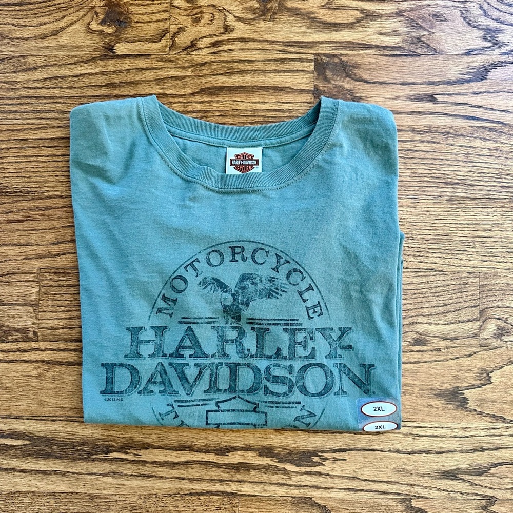 Harley-Davidson Teal Graphic Men's Tee